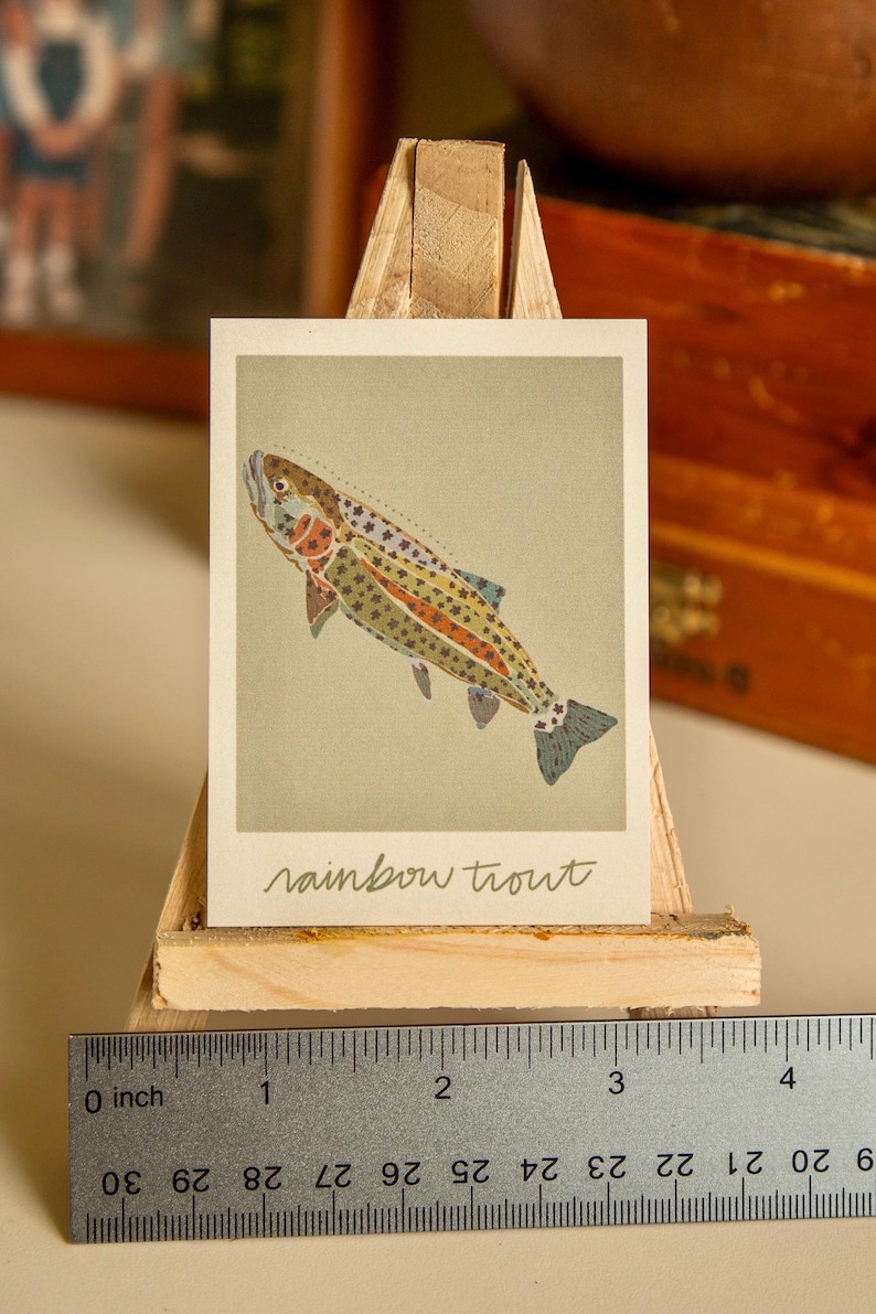 May include: A close-up of a colourful illustration of a rainbow trout fish on a light green background. The image is printed on a card with the text "rainbow trout" written in cursive below the fish.