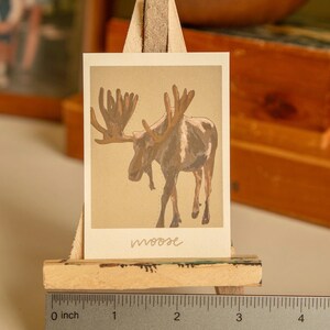 May include: A vintage illustration of a brown moose with large antlers on a beige background. The word "moose" is written in cursive at the bottom of the image.