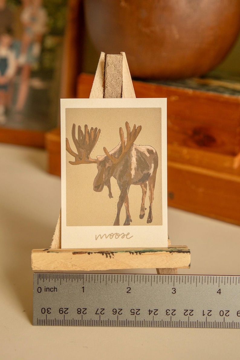 May include: A vintage illustration of a brown moose with large antlers on a beige background. The word "moose" is written in cursive at the bottom of the image.
