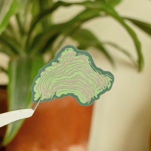 trippy mushroom sticker - weatherproof travel/nomad/granola stickers