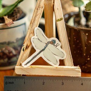 Peut inclure: Un autocollant de libellule avec des ailes blanches et un corps d&eacute;taill&eacute; est pr&eacute;sent&eacute; sur un petit chevalet en bois. L'autocollant mesure environ 7.6 cm de long. L'arri&egrave;re-plan comprend des plantes en pot et une r&egrave;gle m&eacute;tallique.