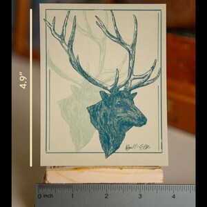 May include: A vintage-style print of a bull elk with large antlers, printed on a light green background with a dark green outline. The print is 4.9 inches tall and 3.75 inches wide. The print is signed "Bull Elk" in the bottom right corner.