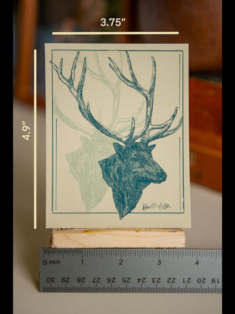 May include: A vintage-style print of a bull elk with large antlers, printed on a light green background with a dark green outline. The print is 4.9 inches tall and 3.75 inches wide. The print is signed "Bull Elk" in the bottom right corner.