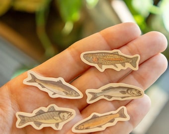Mini Fish Sticker Pack of 5 | Waterproof Outdoorsy, Granola Girl Stickers | Nature Inspired | Earthy