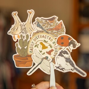 Peut inclure: Un ensemble d'autocollants avec des illustrations d'oiseaux, une coccinelle, une libellule et un cactus en pot. L'un des autocollants dit "Easily Distracted By Birds". Les autocollants sont tenus par une pince &agrave; &eacute;piler.