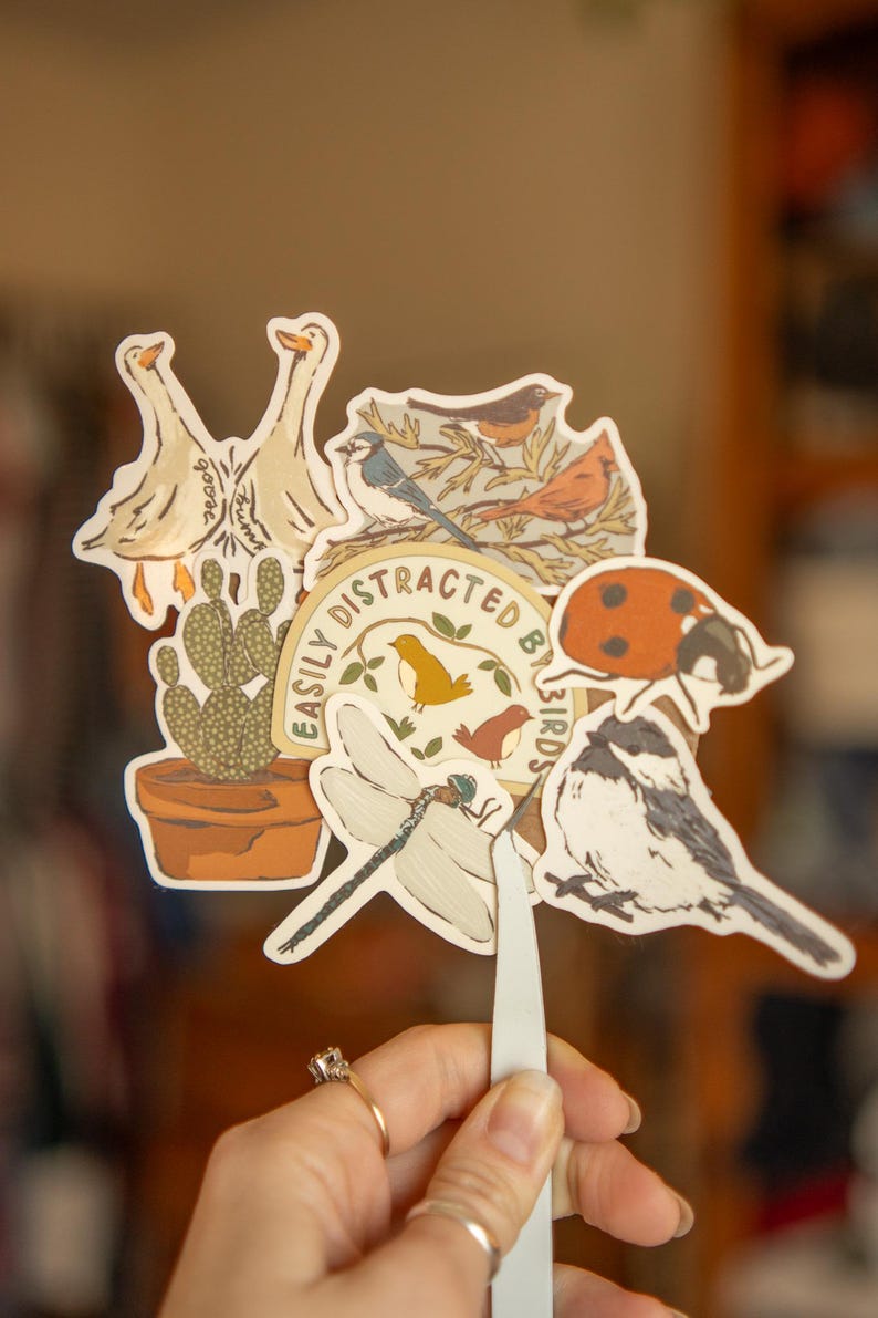 Peut inclure: Un ensemble d'autocollants avec des illustrations d'oiseaux, une coccinelle, une libellule et un cactus en pot. L'un des autocollants dit "Easily Distracted By Birds". Les autocollants sont tenus par une pince &agrave; &eacute;piler.
