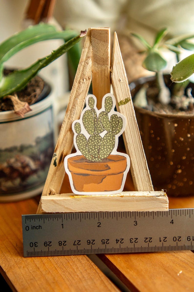 Peut inclure: Un autocollant repr&eacute;sentant un cactus dans un pot en terre cuite, pr&eacute;sent&eacute; sur un petit chevalet en bois. Le cactus est vert avec des points blancs. Une r&egrave;gle indique que l'autocollant mesure environ 5 cm de large.