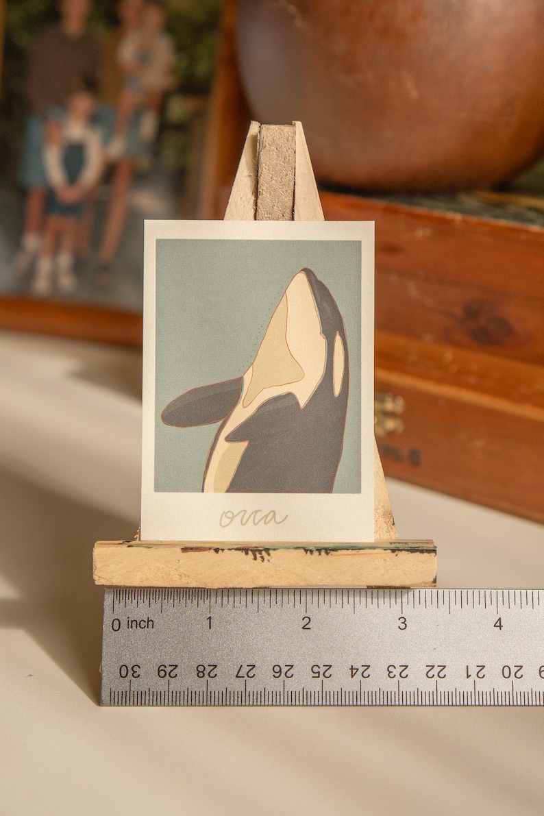 May include: A print of an orca whale with a white and grey colour scheme. The print is on a light blue background and has the word "orca" written in white cursive below the image.