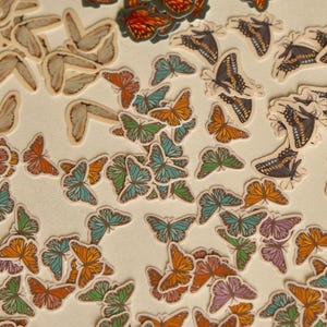 Mini Butterfly Sticker Packs | Pack of 5 Waterproof Gap Filler Stickers | Monarch | Swallowtail