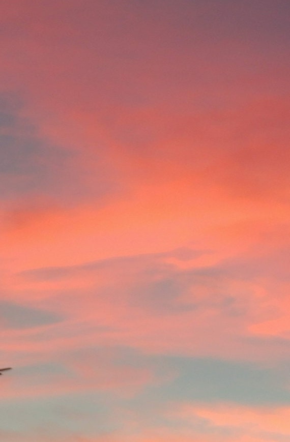 Pink Skies Bundle Etsy Pink Skies Bundle Etsy
