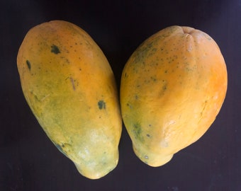 May include: Two ripe papayas, with yellow and green skin, are displayed against a dark background. The papayas have an oblong shape and are speckled with small dark spots. The fruit's skin transitions from green to yellow, indicating ripeness.