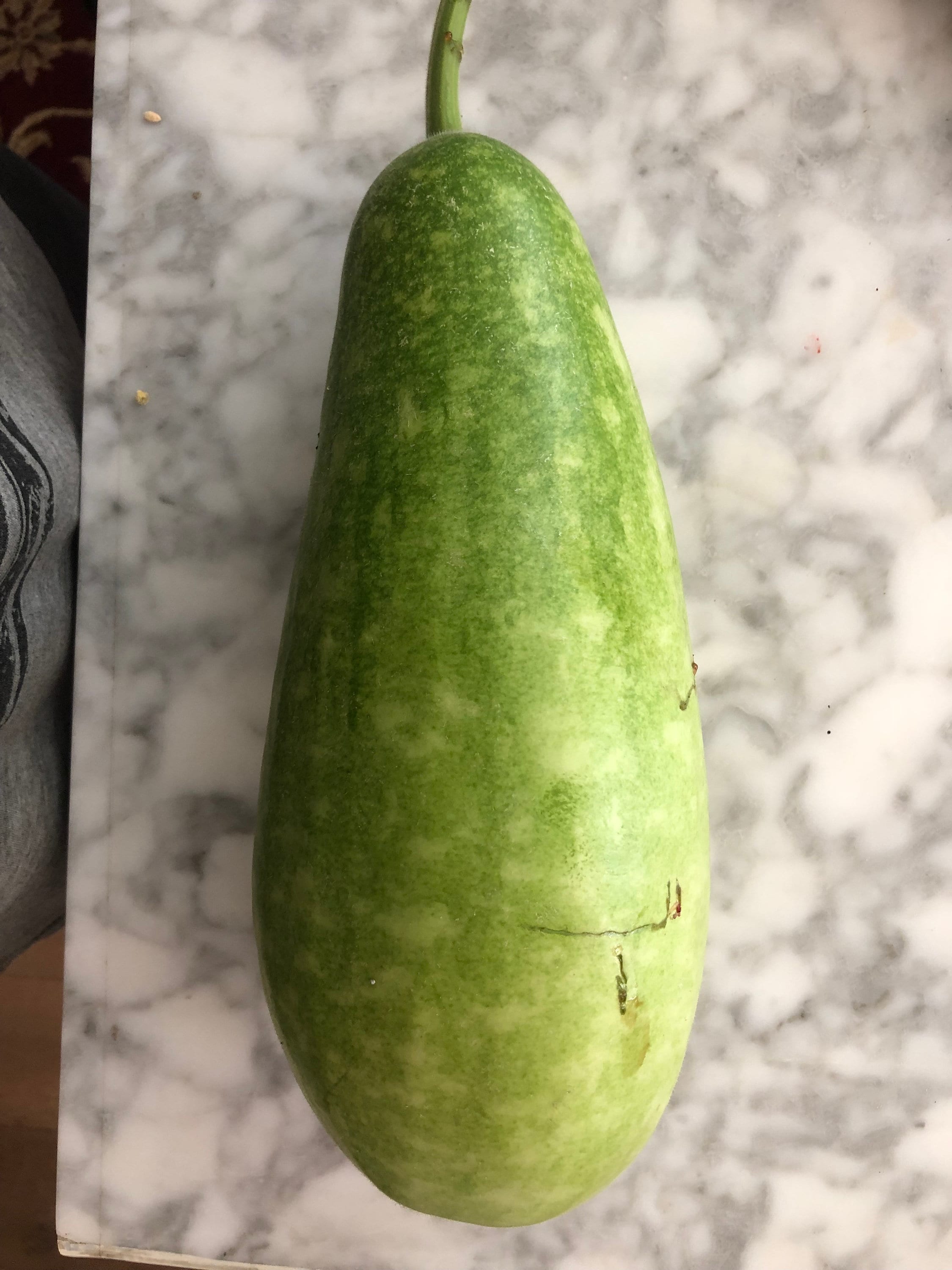 Organic Indian Edible Bottle Gourd Seeds [Calabash, Chorakaa, Soraikka, Sorakaya, laukee, Dudhībhōpaḷā, pu guo, Anapa Kaya, Sorekai].