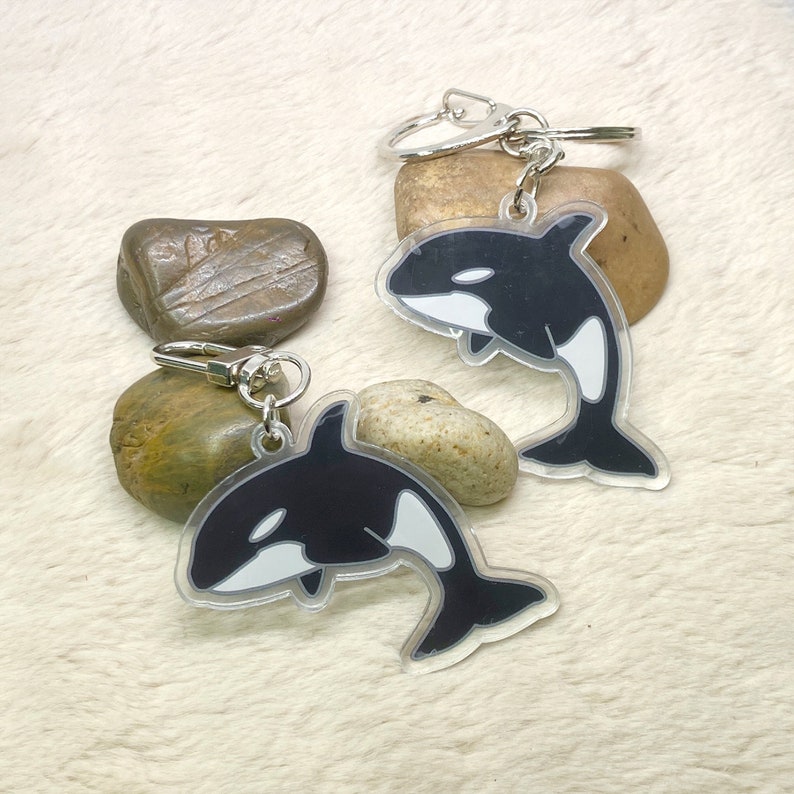 A killer whale acrylic key ring image 2