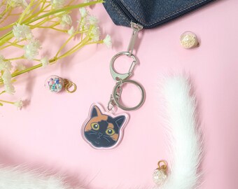 Chaos cat acrylic keyring