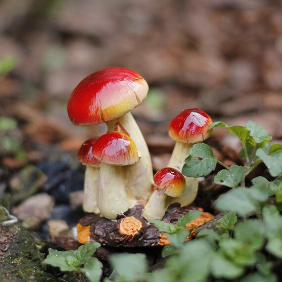 6pcs Mix Toadstood Mushroom Resin Pendant Charms Embellishments Fairy House