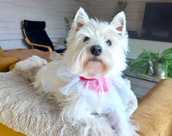 Collier de mariée fantaisie en tulle et ruban pour chien