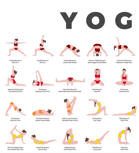 A3 Clasic Hatha-Yoga Poster Printable poster for teachers and students 72  main asanas in sanskrit with the eng. translation -  Portugal