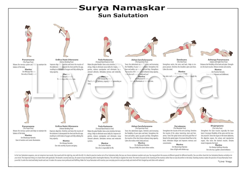 594x420 mm Surya Namaskar Sequence Sun Salutation | Etsy