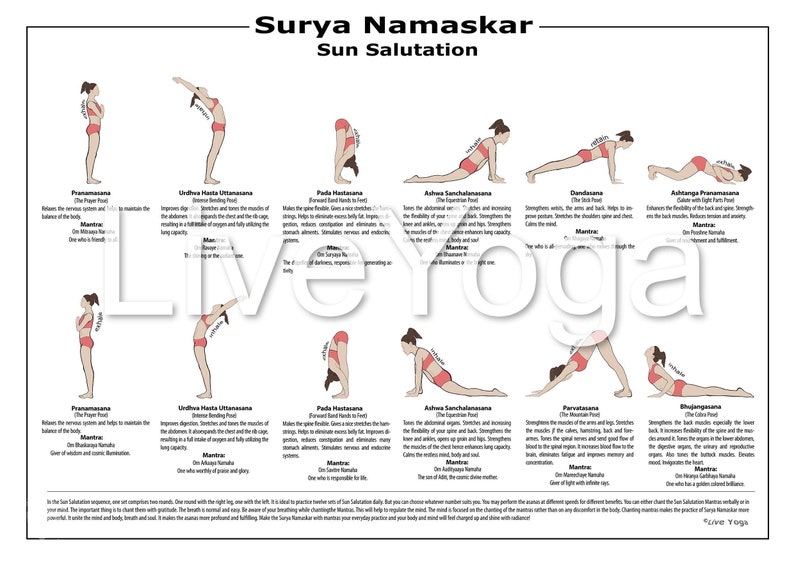 594x420 mm Surya Namaskar Sequence Sun Salutation | Etsy