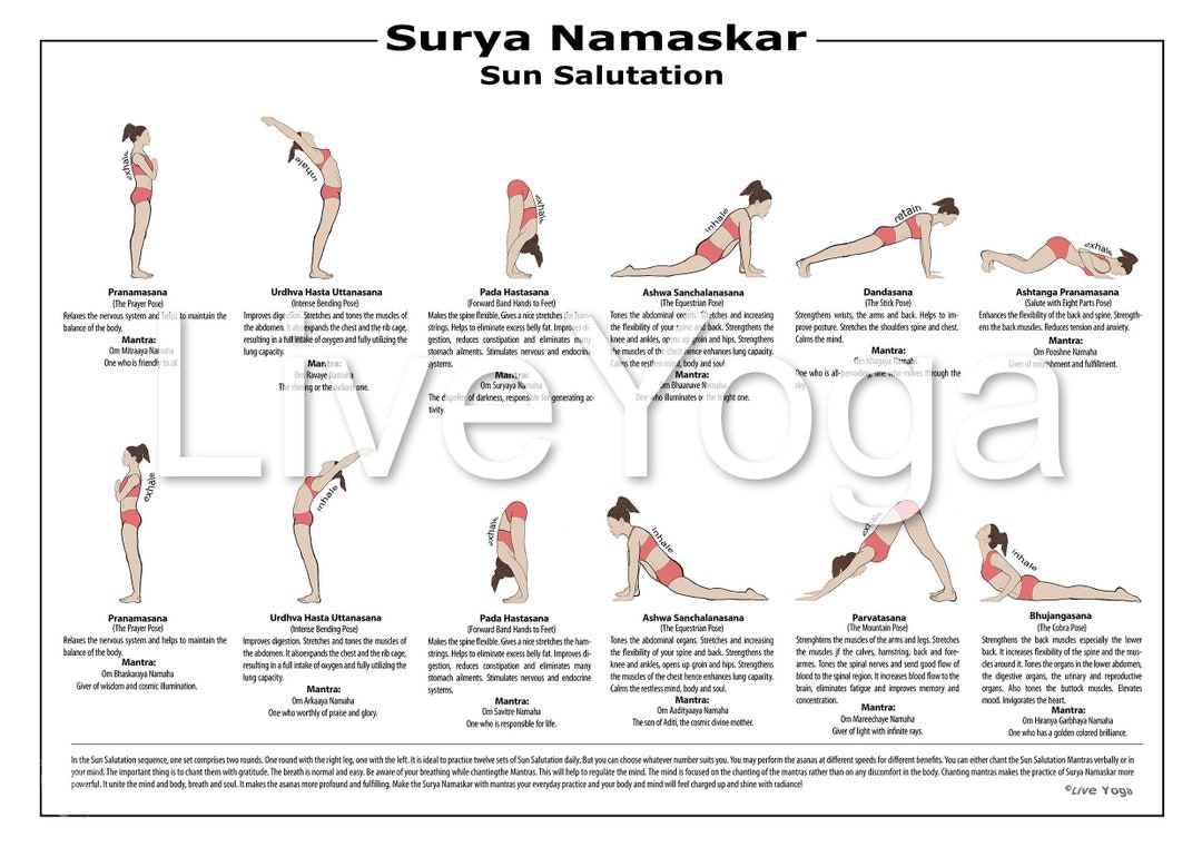 How to do Surya-Namaskar or Sun Salutation – herencyclopedia