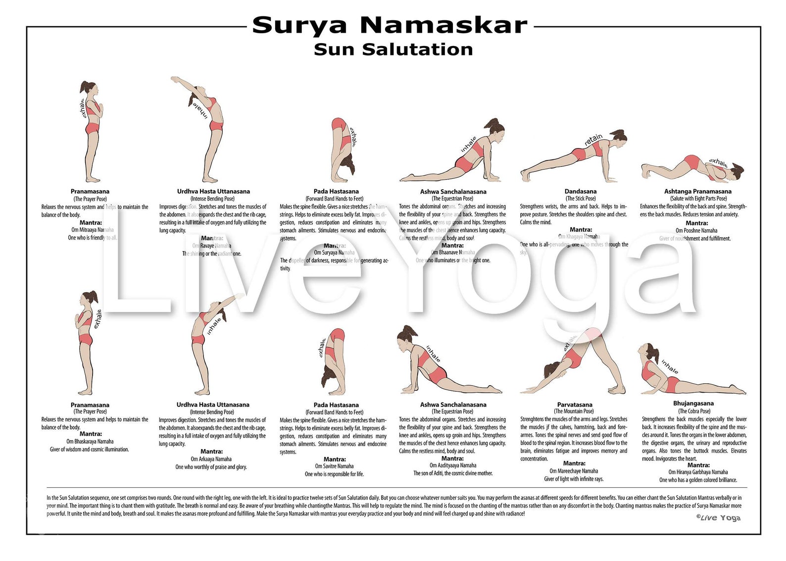 A4 Surya Namaskar Sequence Sonnengruß Lernposter - Etsy.de