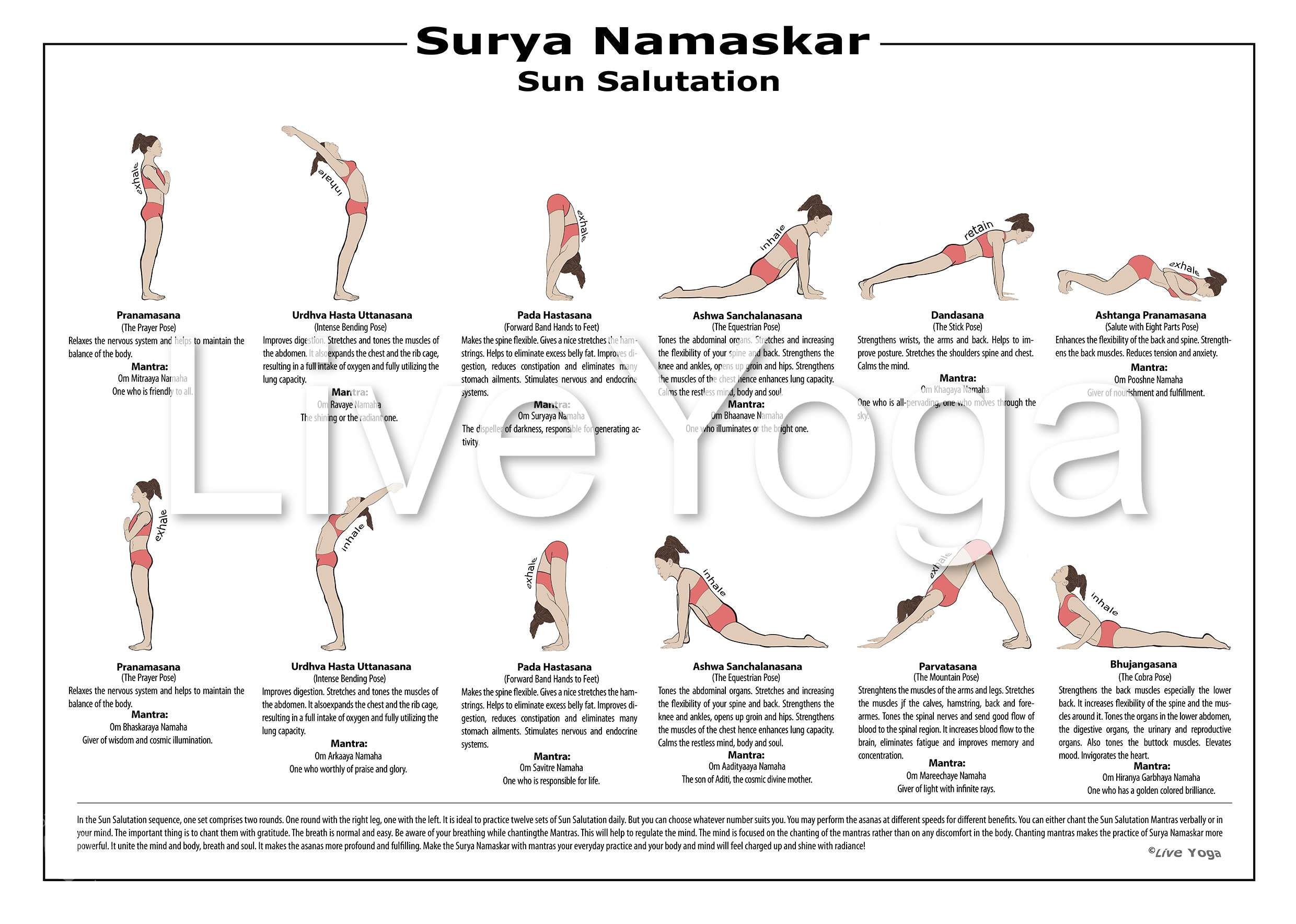 Sun Salutation Yoga Exercise, Surya Namaskara Sequence Infographic Chart.  Simple, Minimal Style Asana Symbols With Text Captions. Royalty Free SVG,  Cliparts, Vectors, and Stock Illustration. Image 115058966.