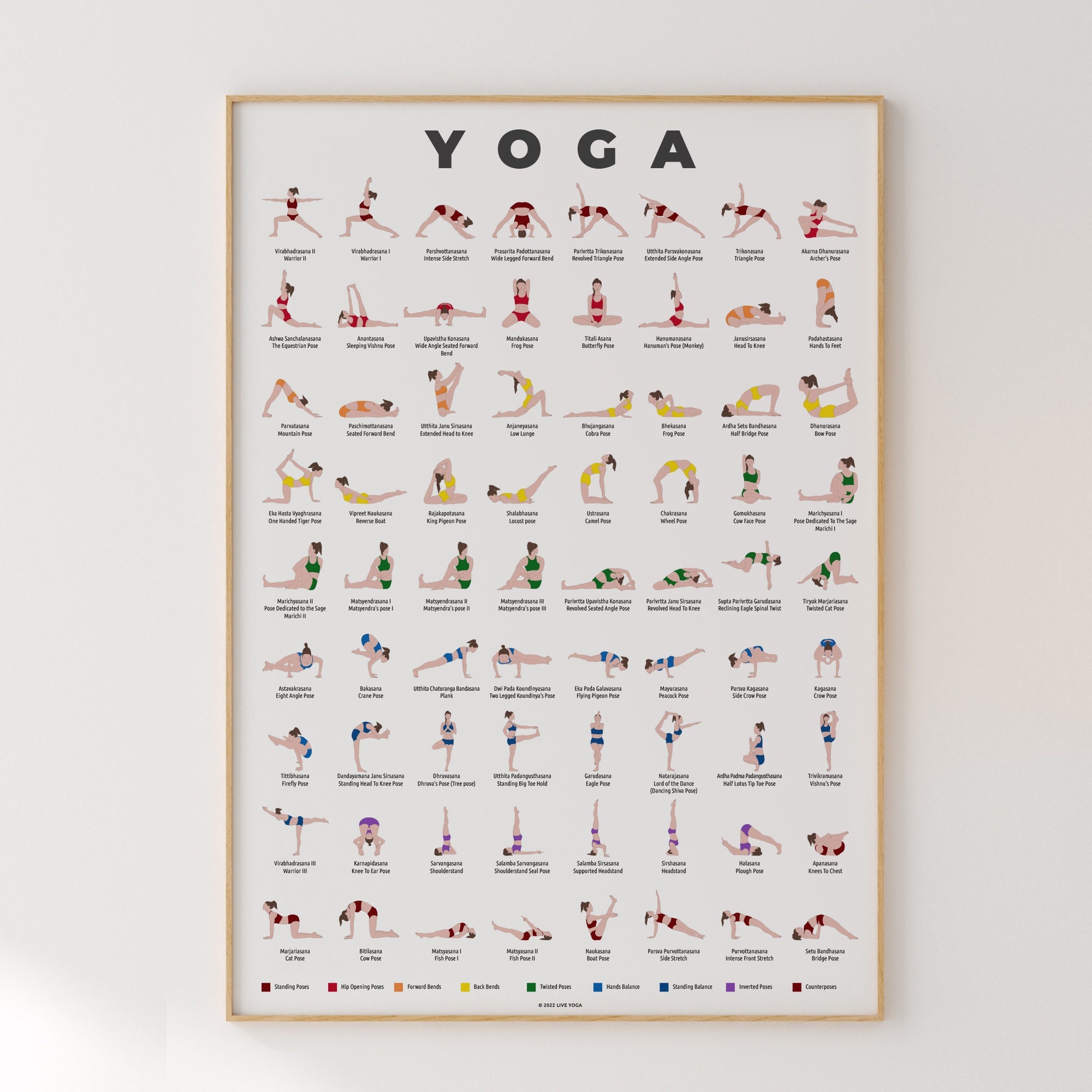 Hatha Yoga Poses Chart : 60 Common Yoga Poses and Their Names - A Reference  Guide to Yoga Asanas (Postures) 8.5 x 11