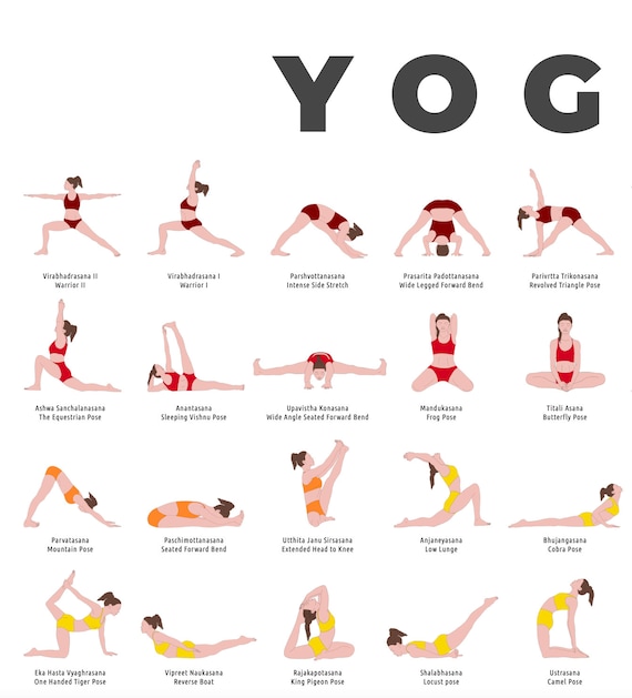 A2 Hatha Yoga Poster Printable Poster for Teachers and Students Wall Decor  for Yoga Studio -  Canada