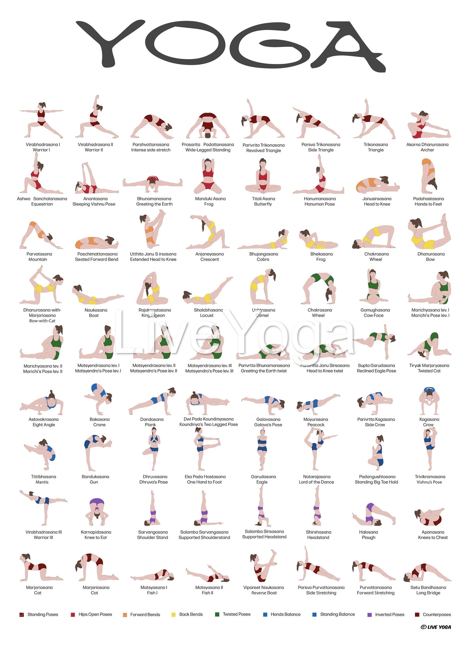 A3 Clasic HathaYoga Poster Printable poster for teachers Etsy