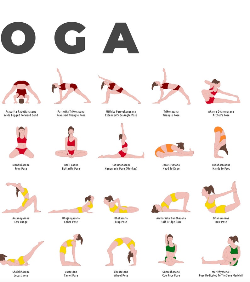 A2 Hatha Yoga Poster Printable Poster for Teachers and - Etsy