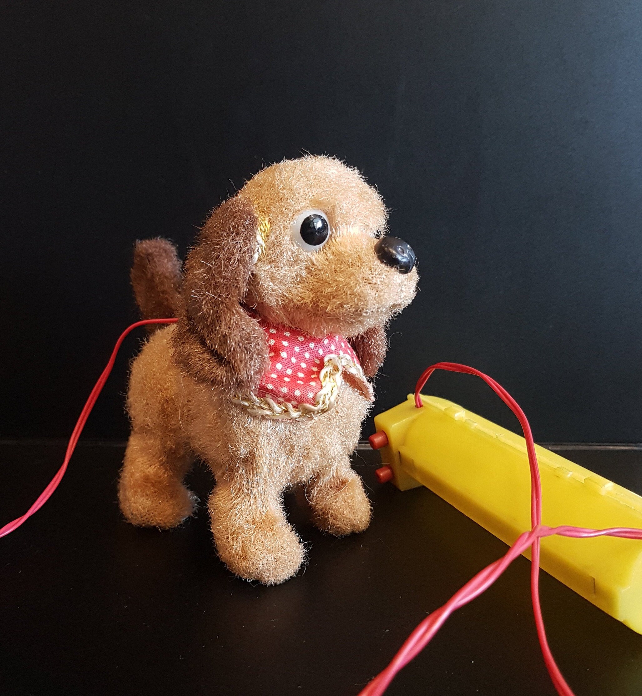 battery operated walking dog