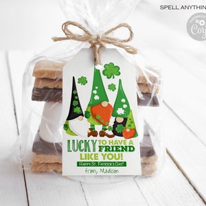 EDITABLE St. Patrick's Day Tag Printable, Gnomes St. Patty's Gift Tags for kids, Classroom School, Personalized favors, Instant Download