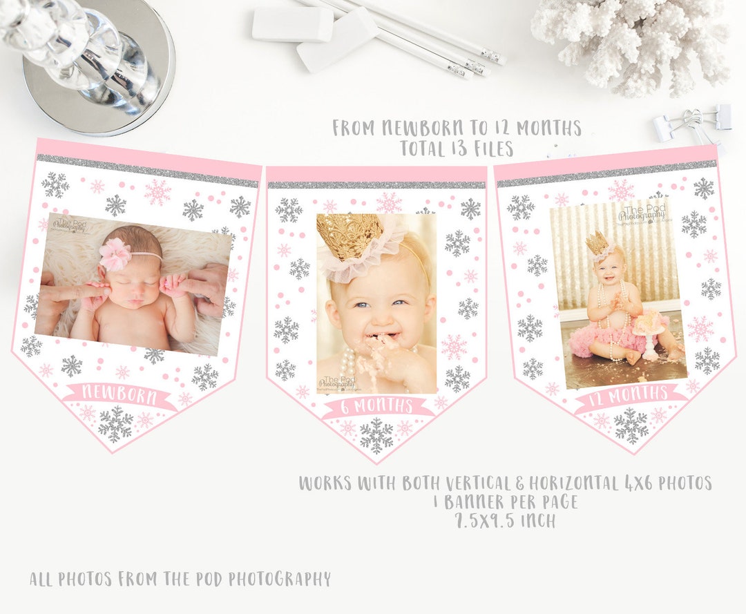 Monthly Photo Banner Printable, Winter Onederland First Birthday ...