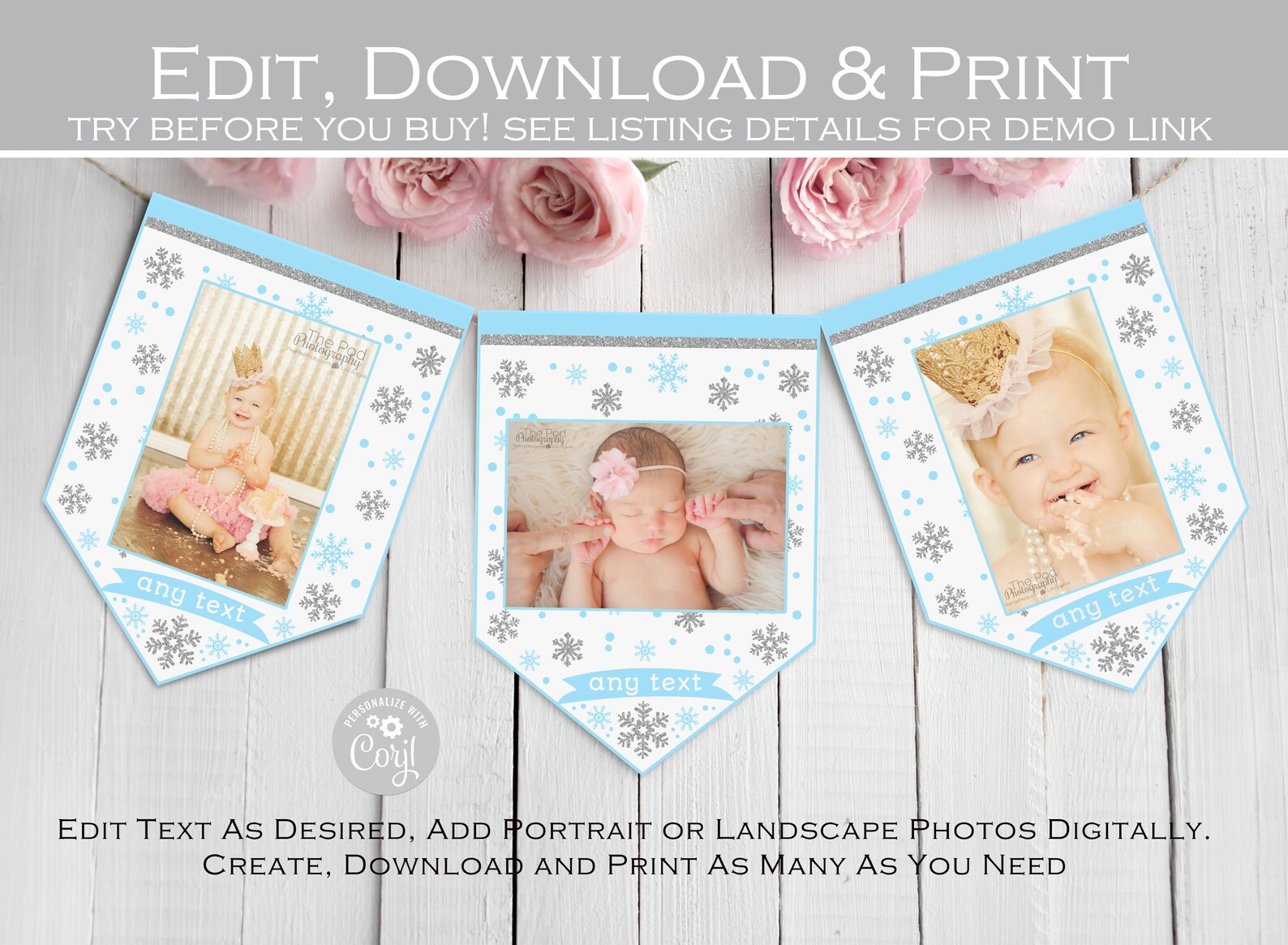 Editable Monthly Photo Banner Printable Winter Onederland | Etsy