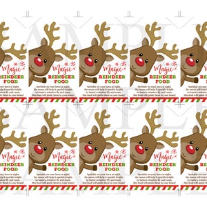Magic Reindeer Food Tags Printable, Party Favors, Kids Christmas Hang ...