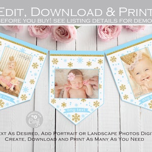 Monthly Photo Banner Printable, Winter Onederland First Birthday Photo ...