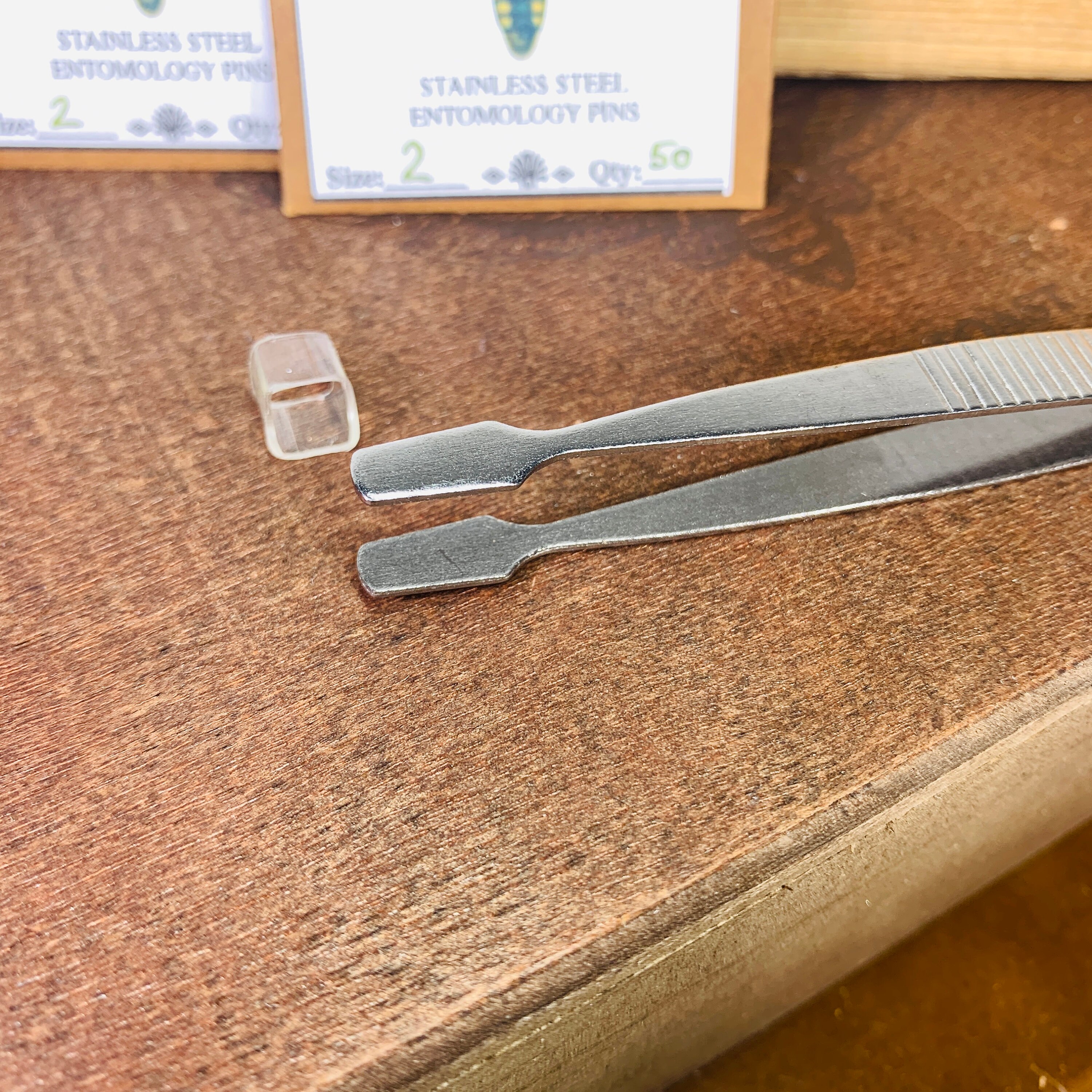 Butterfly Insect Pinning Tweezers Forceps Insect Mounting Etsy