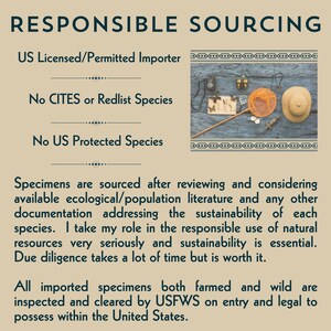 May include: An informational graphic titled RESPONSIBLE SOURCING with text stating US Licensed/Permitted Importer, No CITES or Redlist Species, and No US Protected Species. It includes a small image of a camera, binoculars, net, and hat.