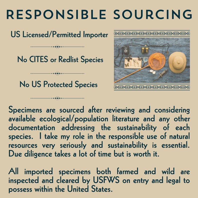 May include: An informational graphic titled RESPONSIBLE SOURCING with text stating US Licensed/Permitted Importer, No CITES or Redlist Species, and No US Protected Species. It includes a small image of a camera, binoculars, net, and hat.