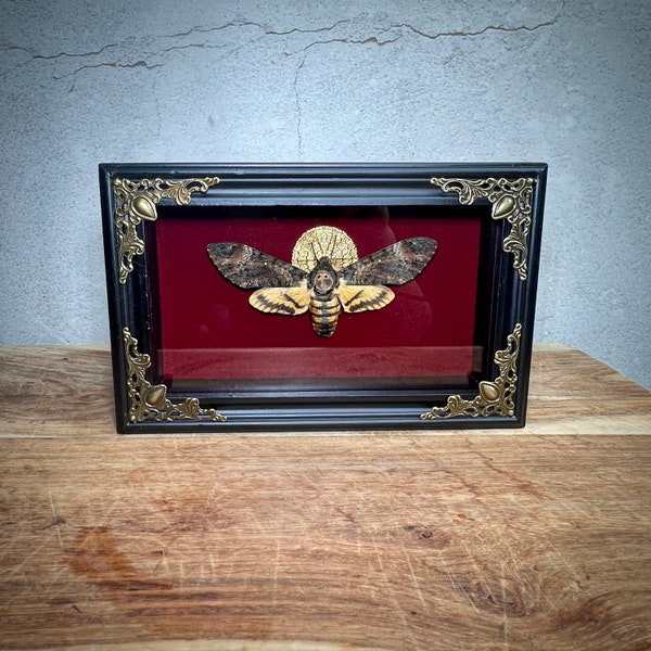 Deaths Head Moth in Gothic Shadow Box Frame, Real Taxidermy, for Tattoo Parlor or Dark Academia Wall Decor, Acherontia Hawk Moth Specimen