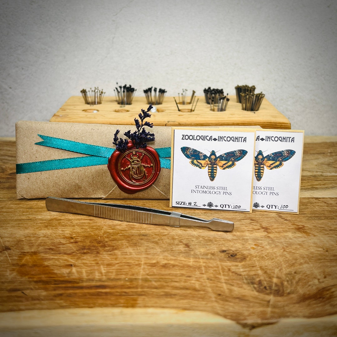 Butterfly Mounting Pins, Insect Pinning Entomology Pins for Entomology