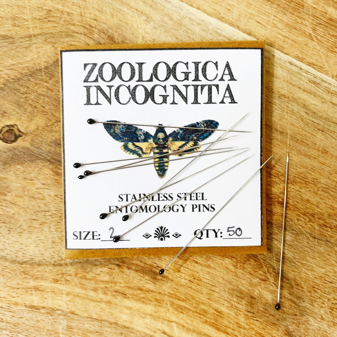Insect Entomology Pins for DIY Butterfly Spreading and Pinning Etsy