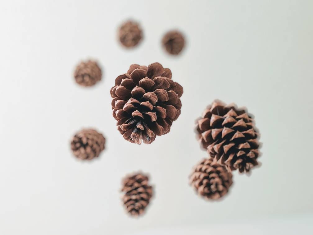 Pine Cone Baby Mobile Rustic Nursery Decor Woodland Mobile