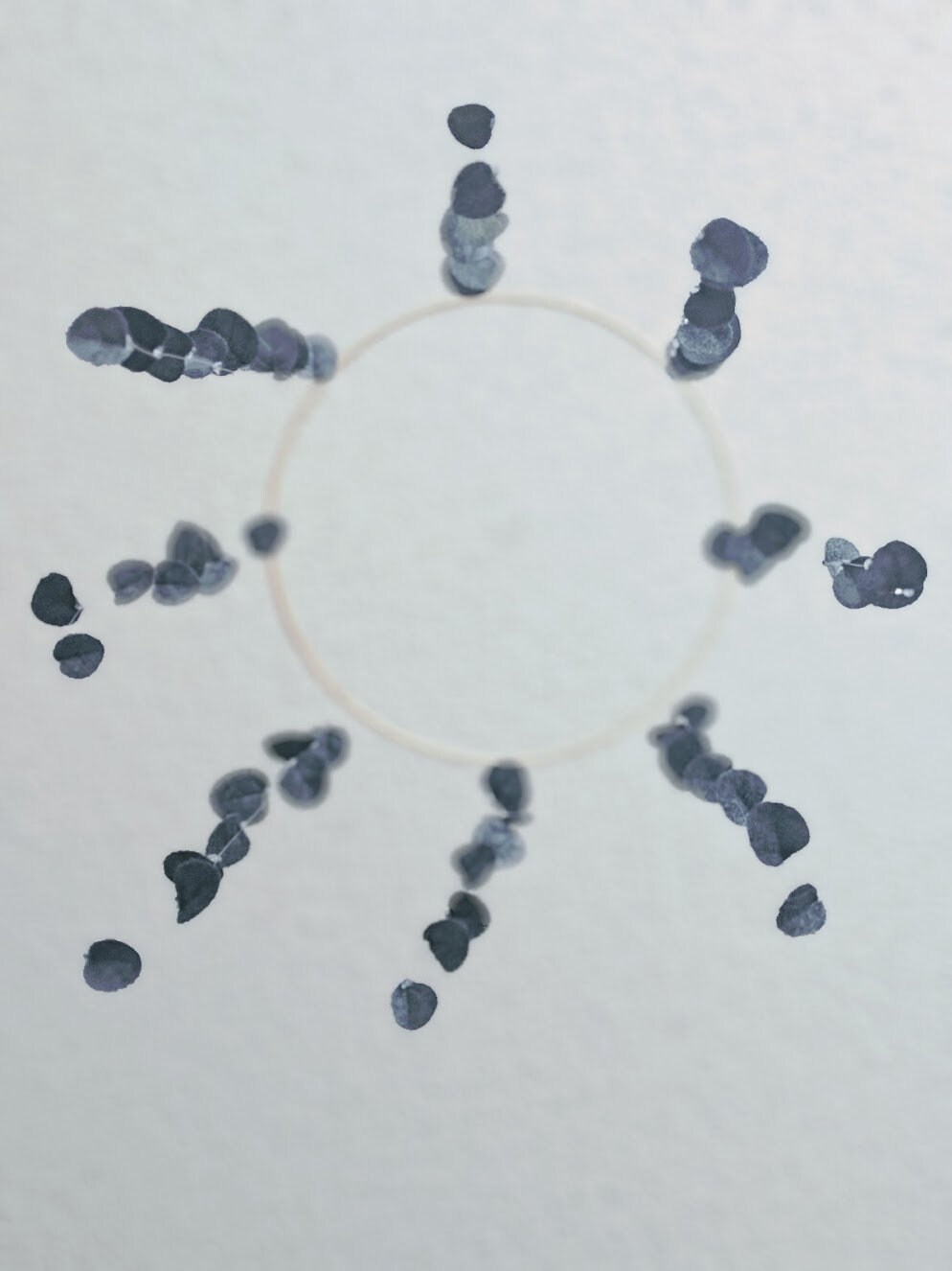 eucalyptus baby mobile