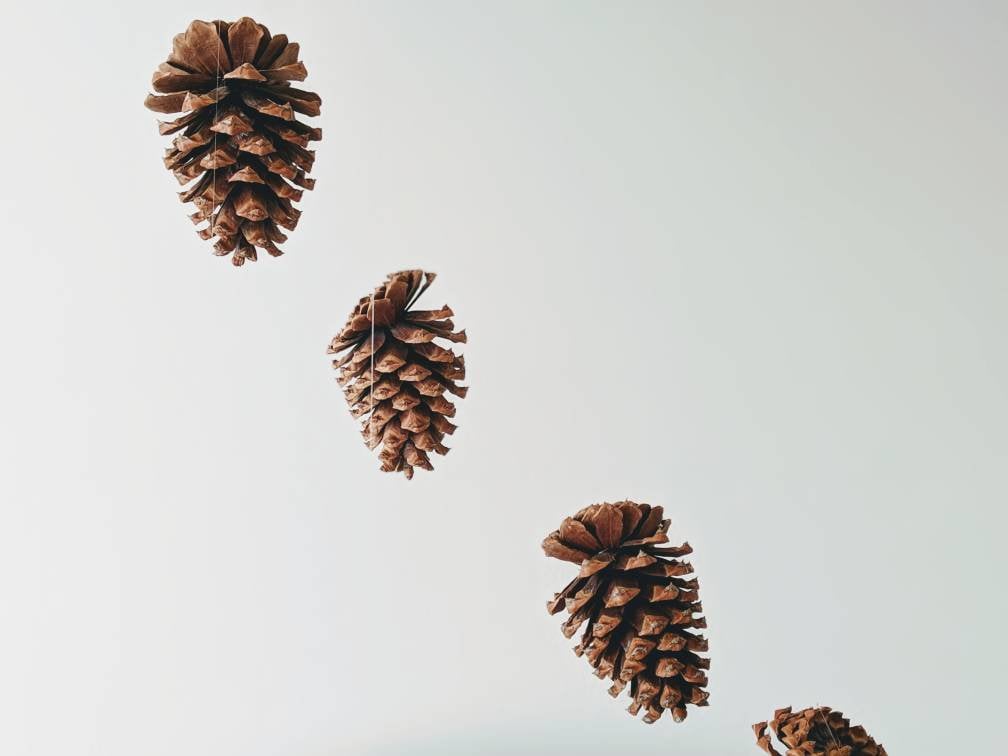 Pine Cone Baby Mobile Rustic Nursery Decor Woodland Mobile