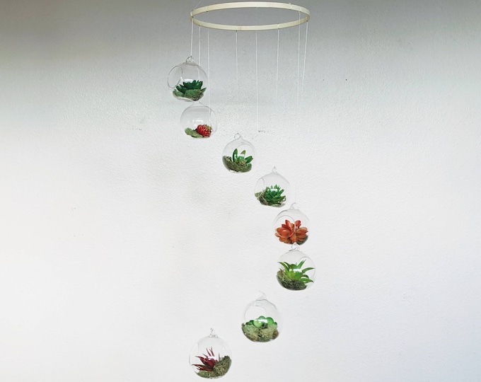 Hanging Terrarium Mobile -Succulent Decor -Gender Neutral Baby Mobile -Hanging Spinning Succulents -Air Plant Decoration -Botanical Nursery
