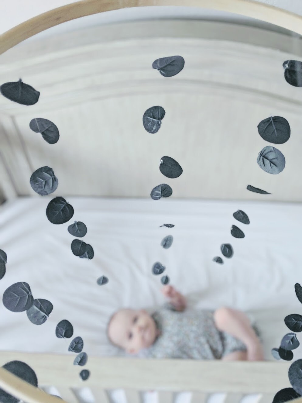 Grey Eucalyptus Baby Mobile Leaf Crib Mobile Gray Infant