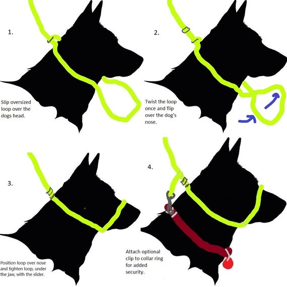 natural choice biscuits