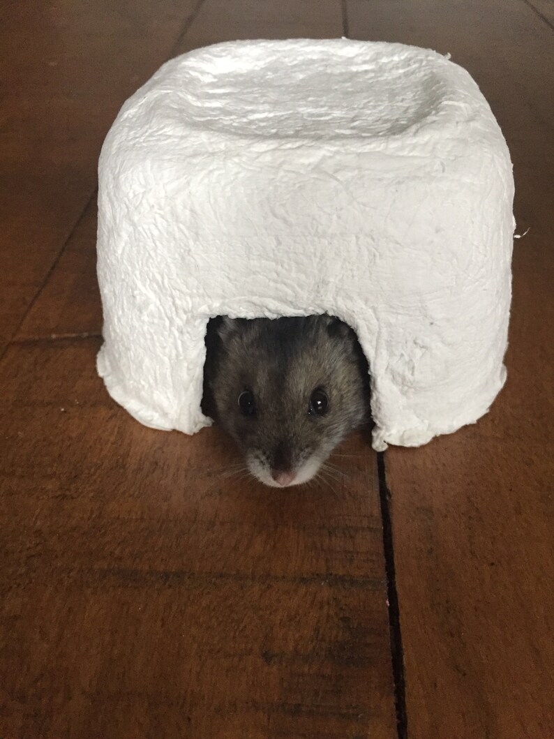 Homemade paper Mache hamster hideout Etsy