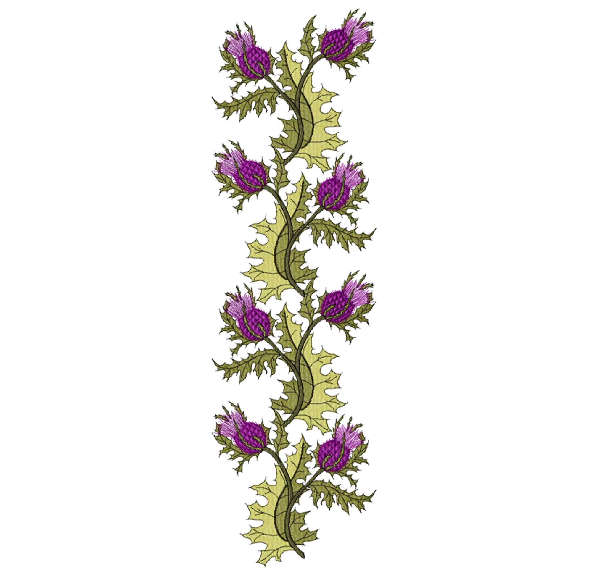 Flowers border Machine Embroidery design Thistle border Etsy